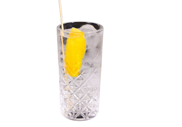 GIN TONIC