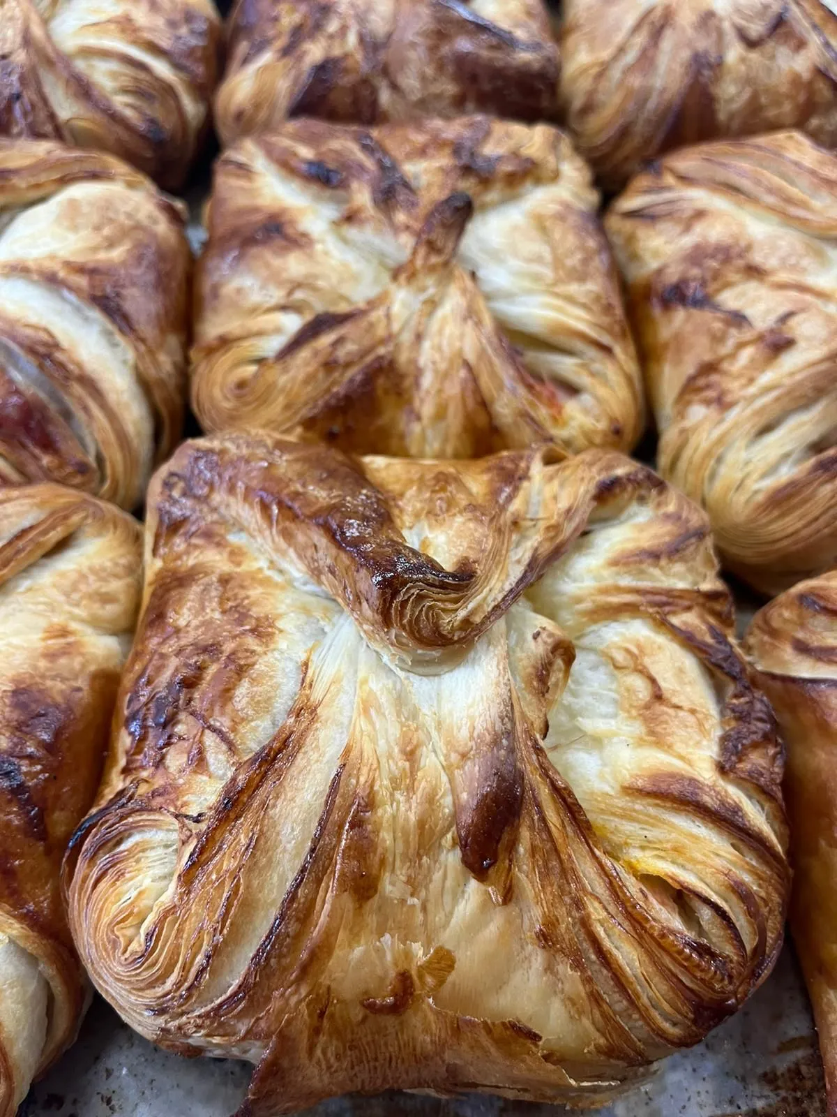 CIPOLLINA
