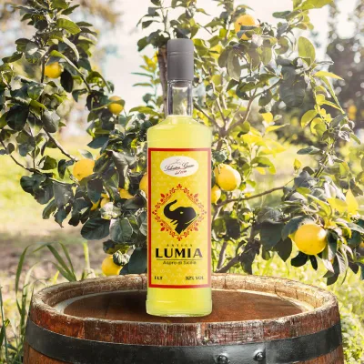 Antica Lumia 1 lt