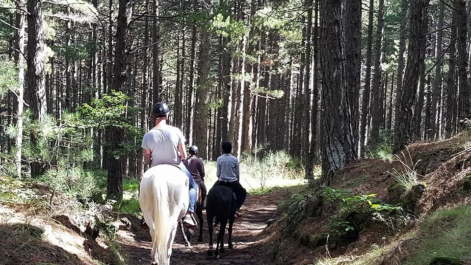 Passeggiata a Cavallo