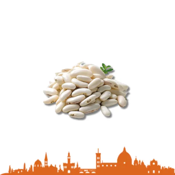 FAGIOLI GREAT NORTH.SECCHI KG5