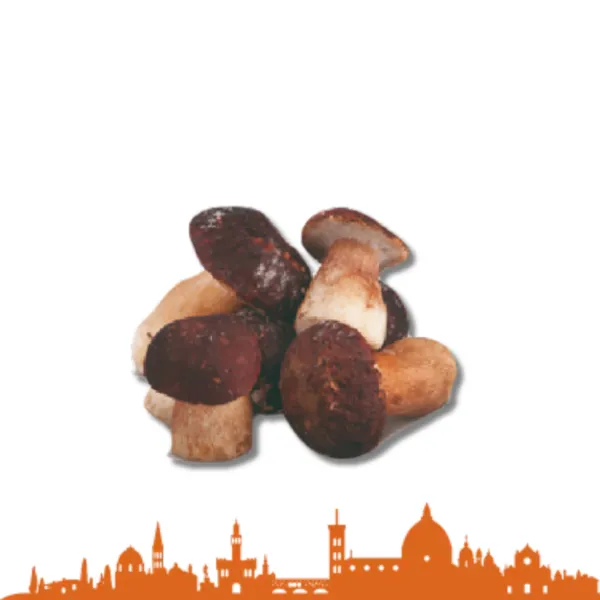 PORCINI CONG.INTERI