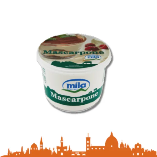 MASCARPONE VASCHETTA GR.500