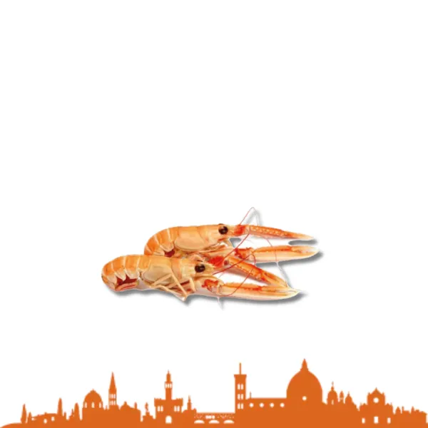 SCAMPI 8/12 CONG.