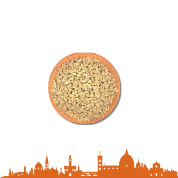 FARRO PERLATO TOSCANO G.500