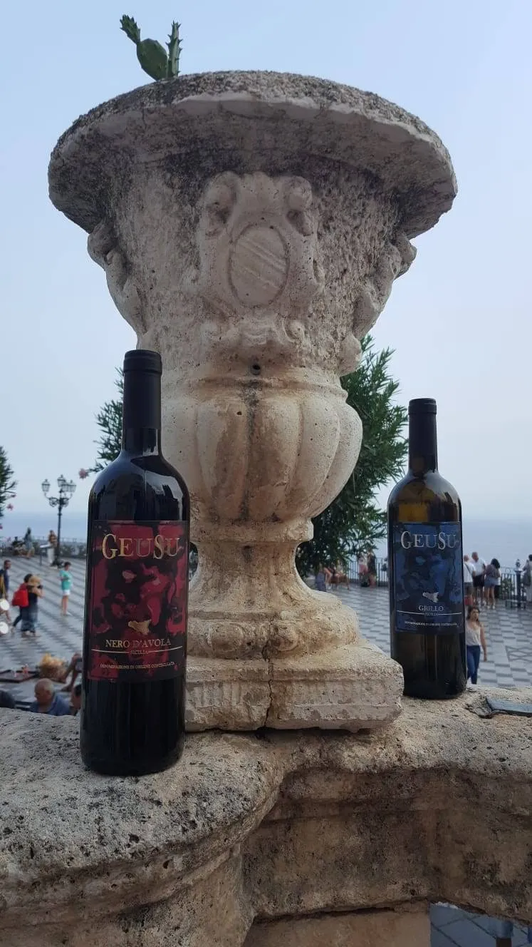 Bottiglie di Nero d'Avola e Grillo Geusu ai piedi di un vaso di pietra su un belvedere sul mare