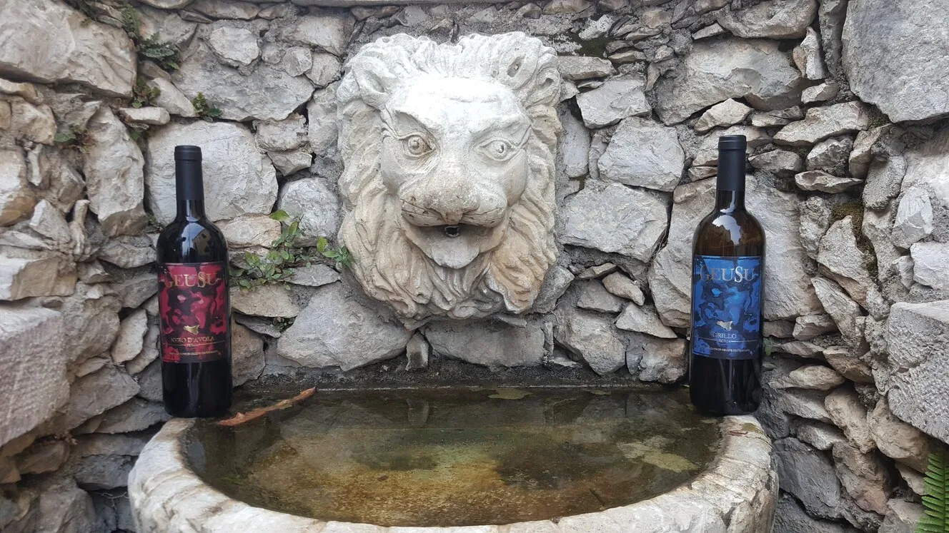 Nero d'Avola e Grillo Geusu sul bordo di una fontana in pietra con testa di leone