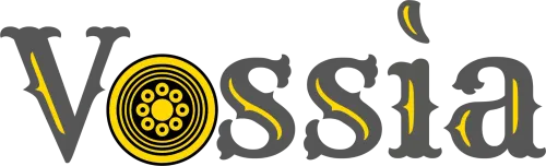 Vossia Mobile Logo