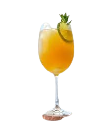 PASSION FRUITS SPRITZ